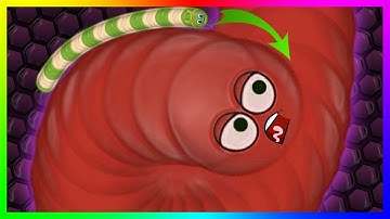 Wormate.io Best Trolling Don