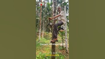 Arecanut Tree Climbing Machine