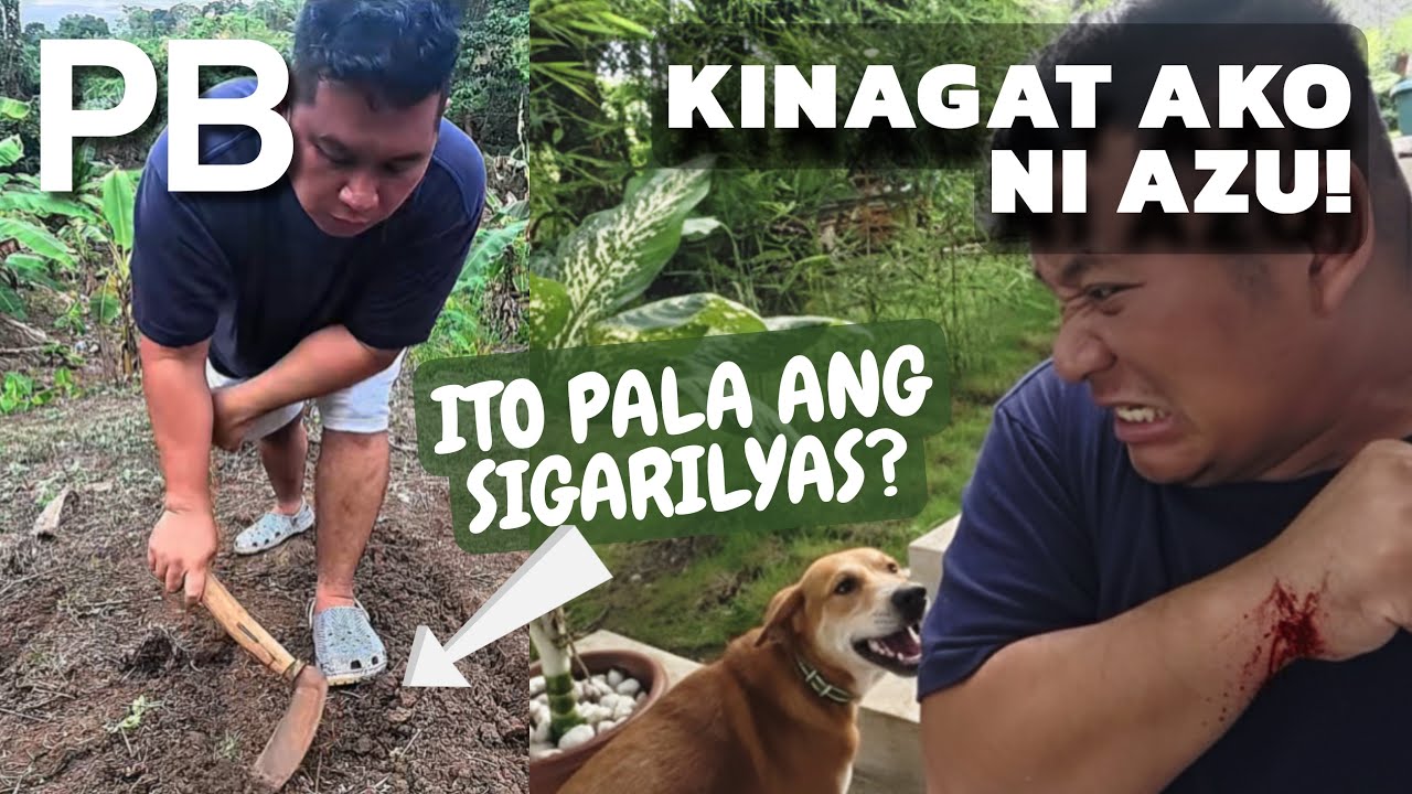 Lab na lab ako ni Azu! Apat na bagong halaman, sumibol kaya sa PB (Pugong Byahero) House?