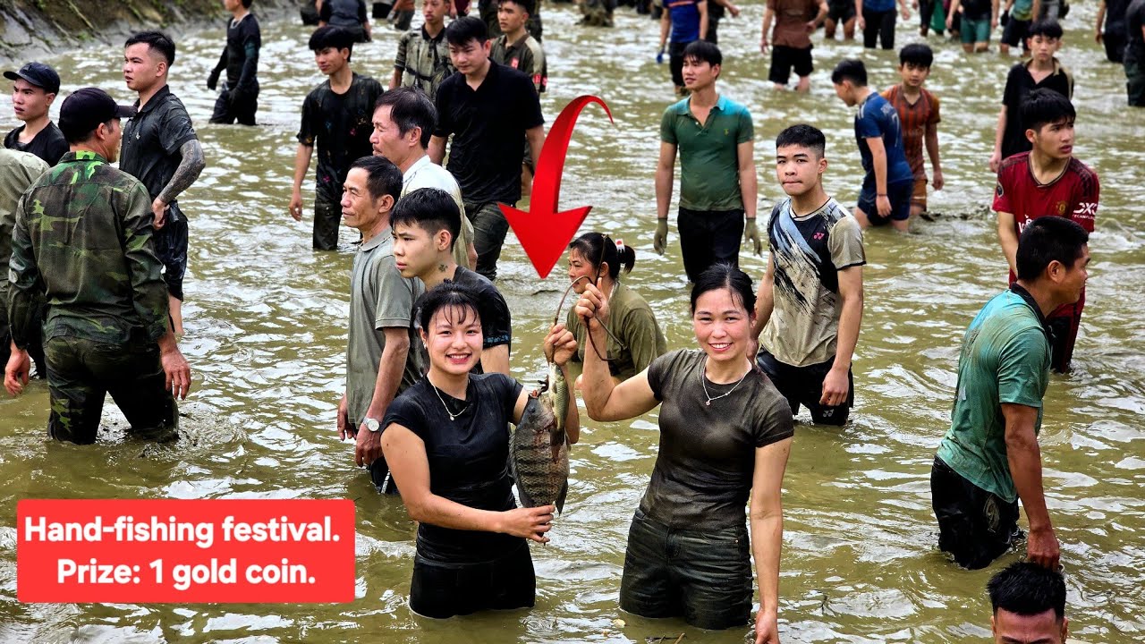 Agricultural vehicles, a holiday for two girls working in logging, and traditional Vietnamese games
