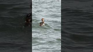 #helsinki #finland #🇫🇮