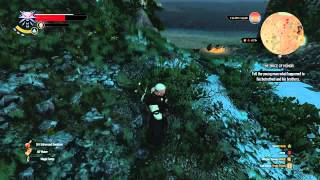 The Witcher 3 - No Not The Bees