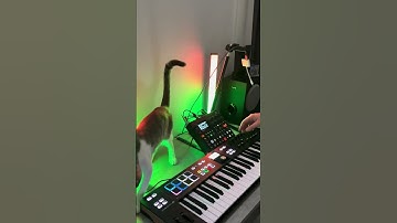 Elektron Digitakt & Arturia Keylab Essential Warm Up Jam Session [o2.2o25] p.1 #digitakt2 #jam