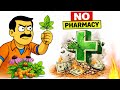 7 Plant Remedies That Will Replace the Entire Pharmacy When Cash Fails