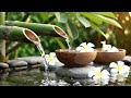 Soothing Relaxation: Calming Piano Music &amp; Water Sounds for Sleep, Meditation, Spa &amp; Yoga