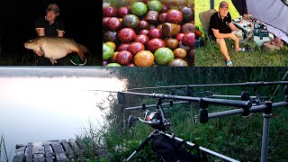 Рыбалка на карпа.Новый личный рекорд.Carp fishing.Карпфишинг(Ловля карпа на бойлы.В этот раз нам удалось побить свой рекорд,карп весом 16кг.Кормили мы бойлами и крупным..., 2016-07-20T09:14:21.000Z)