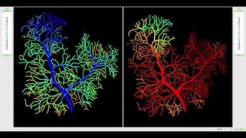 Stochastic Reaction-Diffusion and Membrane Potential Simulation in Full Purkinje Dendritic Tree