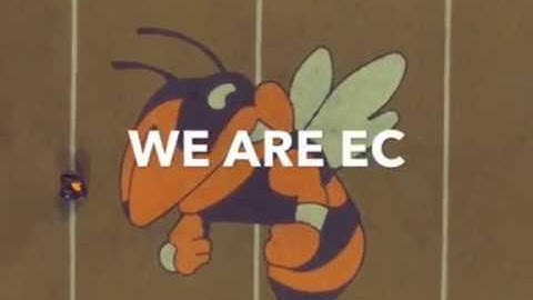 Routines and Procedures