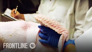 The Trouble with Chicken | TRAILER | FRONTLINE