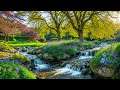 Ultimate Stress Relief - Soothing Music for Relaxation, Meditation and Anxiety Reduction #8