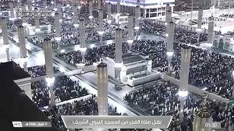 صلاة الفجر من رحاب المسجد النبوي  الشّيخ  عبدالله القرافي فواتِح سورة صٓ يوم الأربعاء ١١ شوال ١٤٤٦