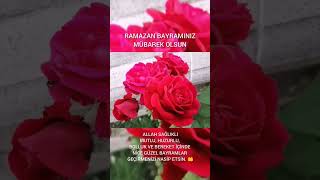 Ramazan Bayrz Mubarek Olsun