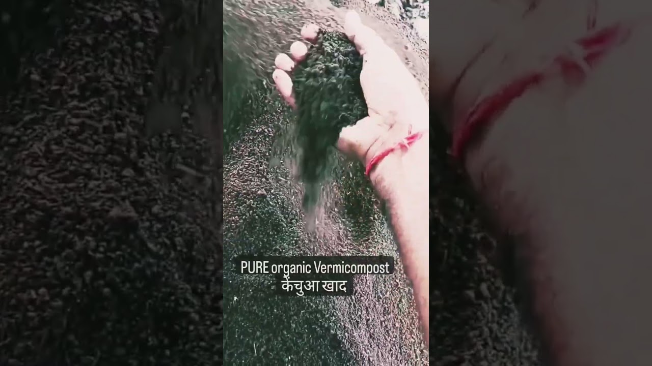 Best quality Vermicompost। KUDRAT ORGANIC FARM 