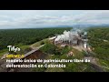 gremca: modelo único de palmicultura libre de deforestación - TvAgro por Juan Gonzalo Angel