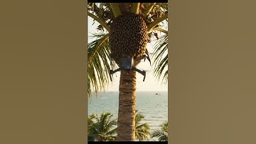 Drone Hits Beehive in Coconut Tree  Unexpected Crash! #drone #dji #videodrone #short #shorts