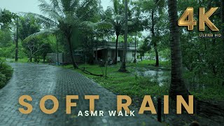 Under the Gentle Sky:Soft Rain Countryside Stroll: ASMR Rain Walk for Sleep,  Study and Meditation screenshot 3