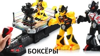 Игрушка боксёры роботы на ринге Игрушка боксёры роботы на ринге