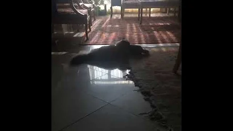 4 October 2016