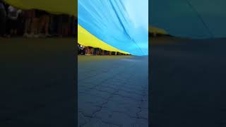 З Днем Незалежності України!