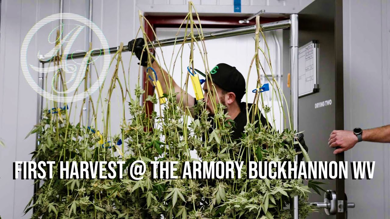 Alt-Sol Cannabis Presents: First Harvest At The Armory Buckhannon WV