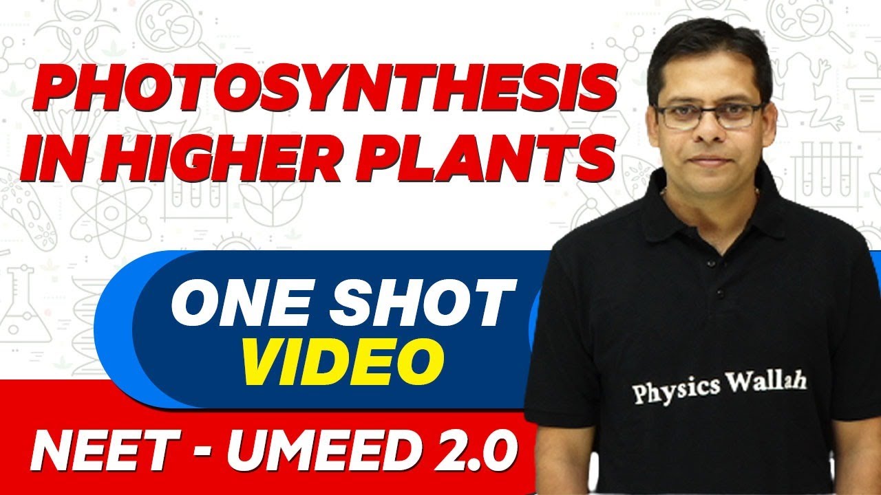 PHOTOSYNTHESIS IN HIGHER PLANTS In 1 Shot All Concepts Tricks PYQs 