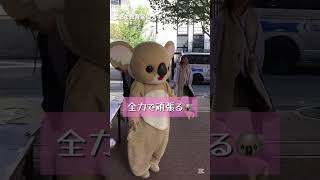 10月の文化祭カレンダー。大学・短大の学園祭日程まとめ【2026】