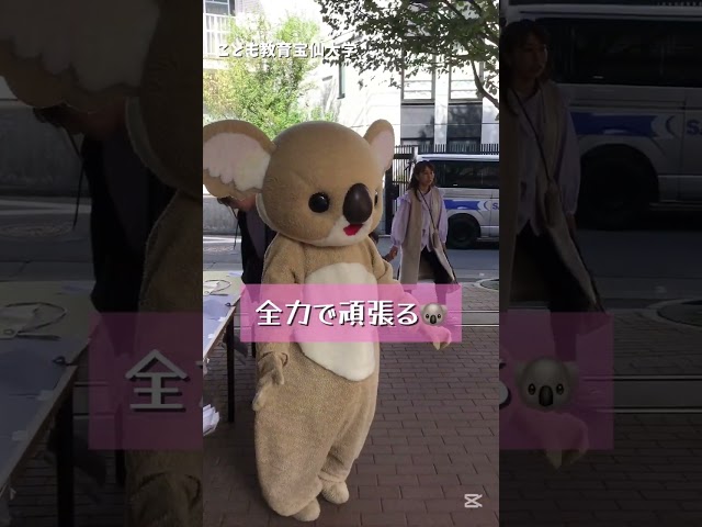 宝仙祭|こども教育宝仙大学