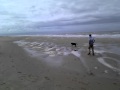 Texel mei 2010 - Dorus gekke bui