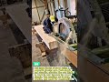 Workmanship Details That Produce Perfect Cuts #woodworking