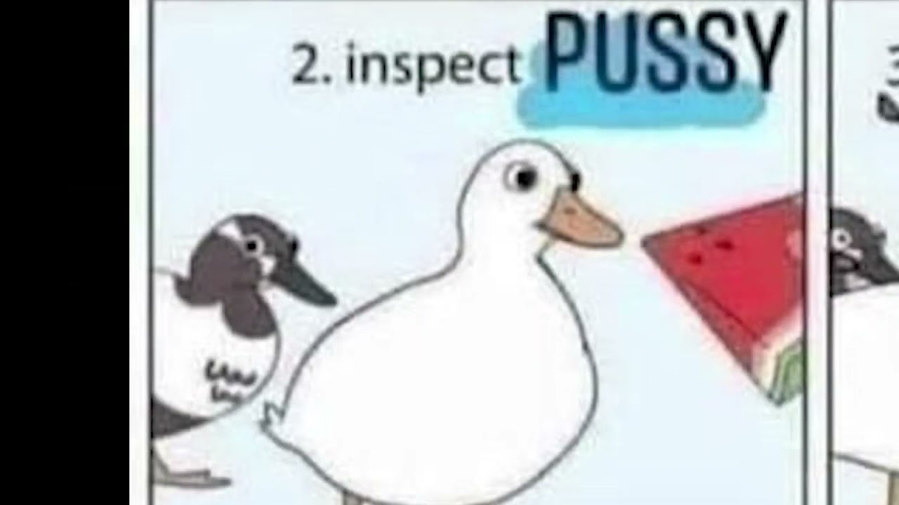 A Guide to Eating PUSSY by Wobbles YouTube