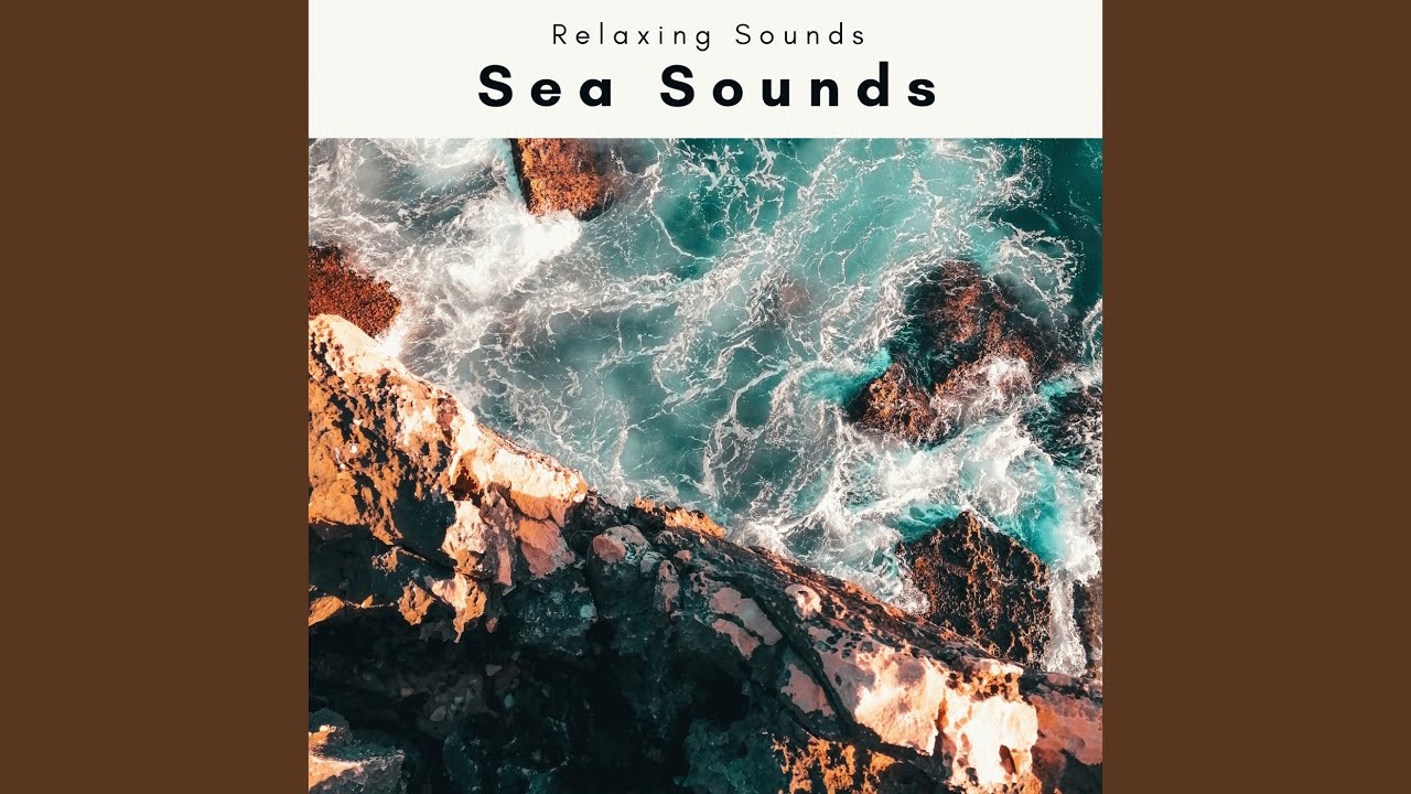 Night Sea Garden for Total Relax