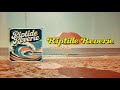 Riptide Reverie (Surf Rock)