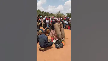 Hii Ndio Tokomile Kutoka Kwa Wazaram 