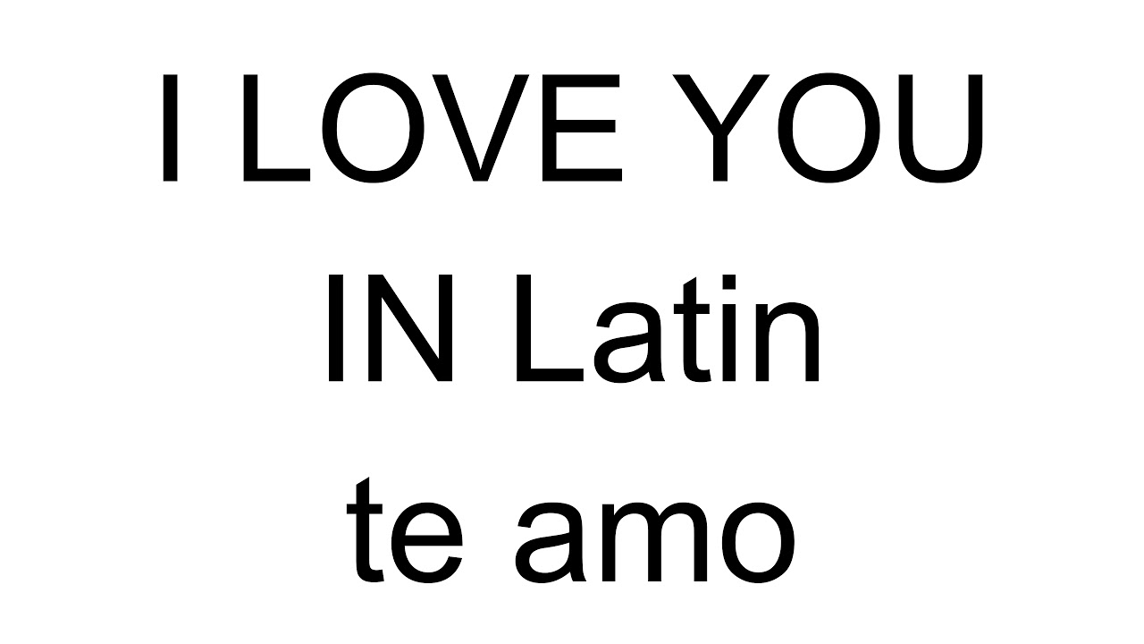 How To Say I Love You In Latin Latin Lessons YouTube