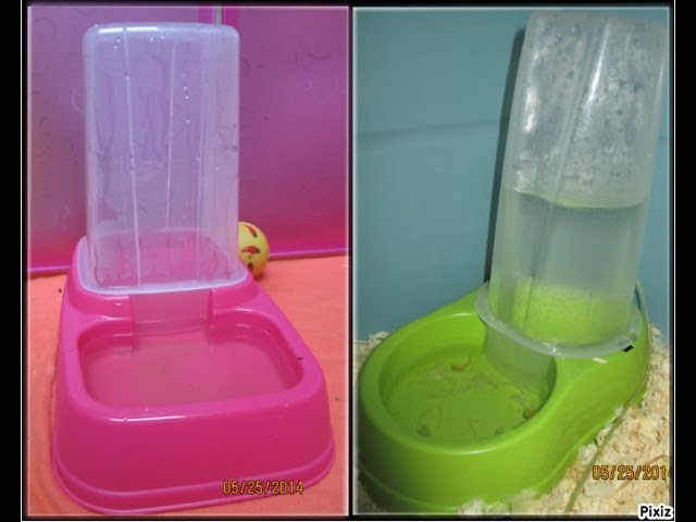 Distributeur D Eau Nourriture Description Et Fonctionnement Youtube