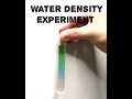 Diy science  water density experiment  easy tutorial