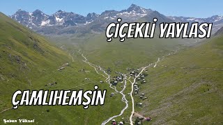 ÇİÇEKLİ YAYLASI RİZE ÇAMLIHEMŞİN #çiçekliyaylası #çamlıhemşin #rize