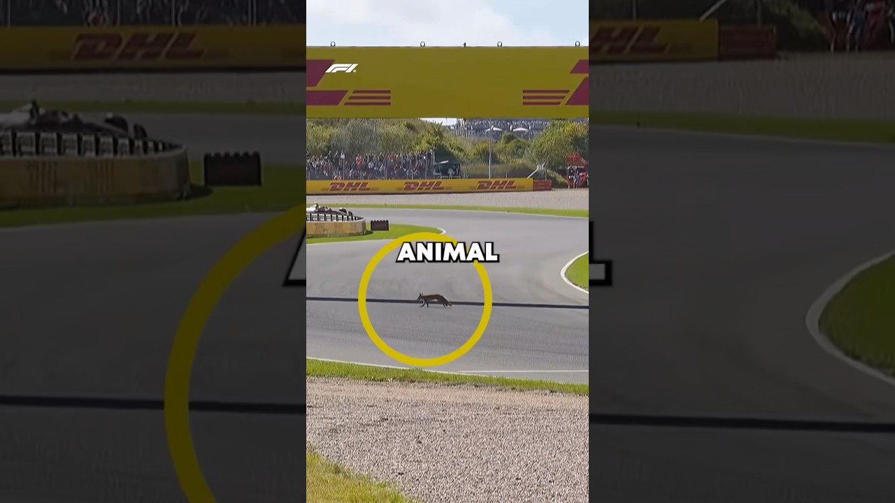 F1 rules need to change! #formula1 #f1