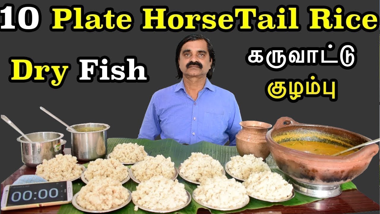 10 Plate HorseTail Rice Eating Challenge | குதிரை வாலி & கருவாட்டுக்குழம்பு சாப்பிடும் போட்டி |