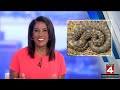 Local 4 News at 6 -- Aug. 27, 2026