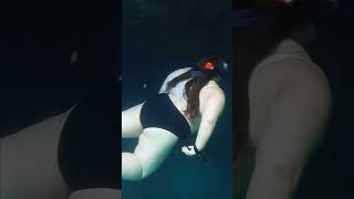 Cave Swimming at Devils Den 🤿