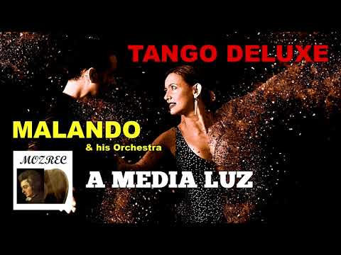 【タンゴ Tango】淡き光に A Media Luz/マランド楽団 MALANDO/レコード/高音質