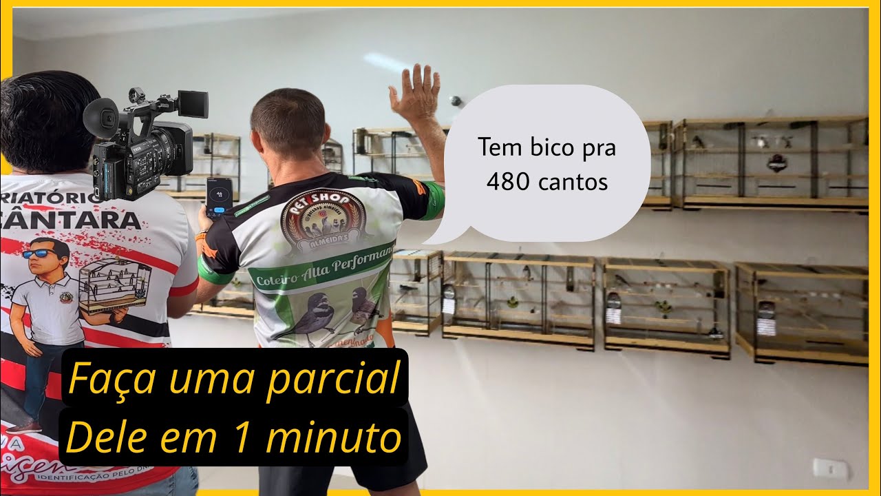 COLEIRO MAIS RÁPIDO DO MUNDO QUE EU JÁ VI NA VIDA