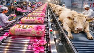 How Premium Soap Bars Are Made in Huge Factories