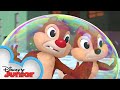 My Muddy Valentine | Chip 'N Dale's Nutty Tales | Disney Junior