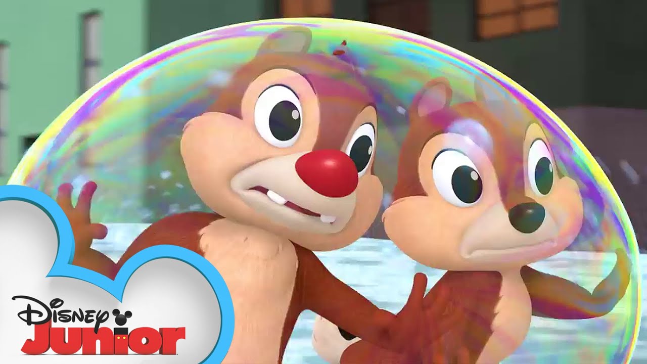 My Muddy Valentine | Chip N Dale Nutty Tales | Disney Junior