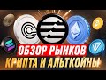 Обзор Рынка Криптовалют || Игорь Порох 🐂 || Куда Пойдет Биткоин?