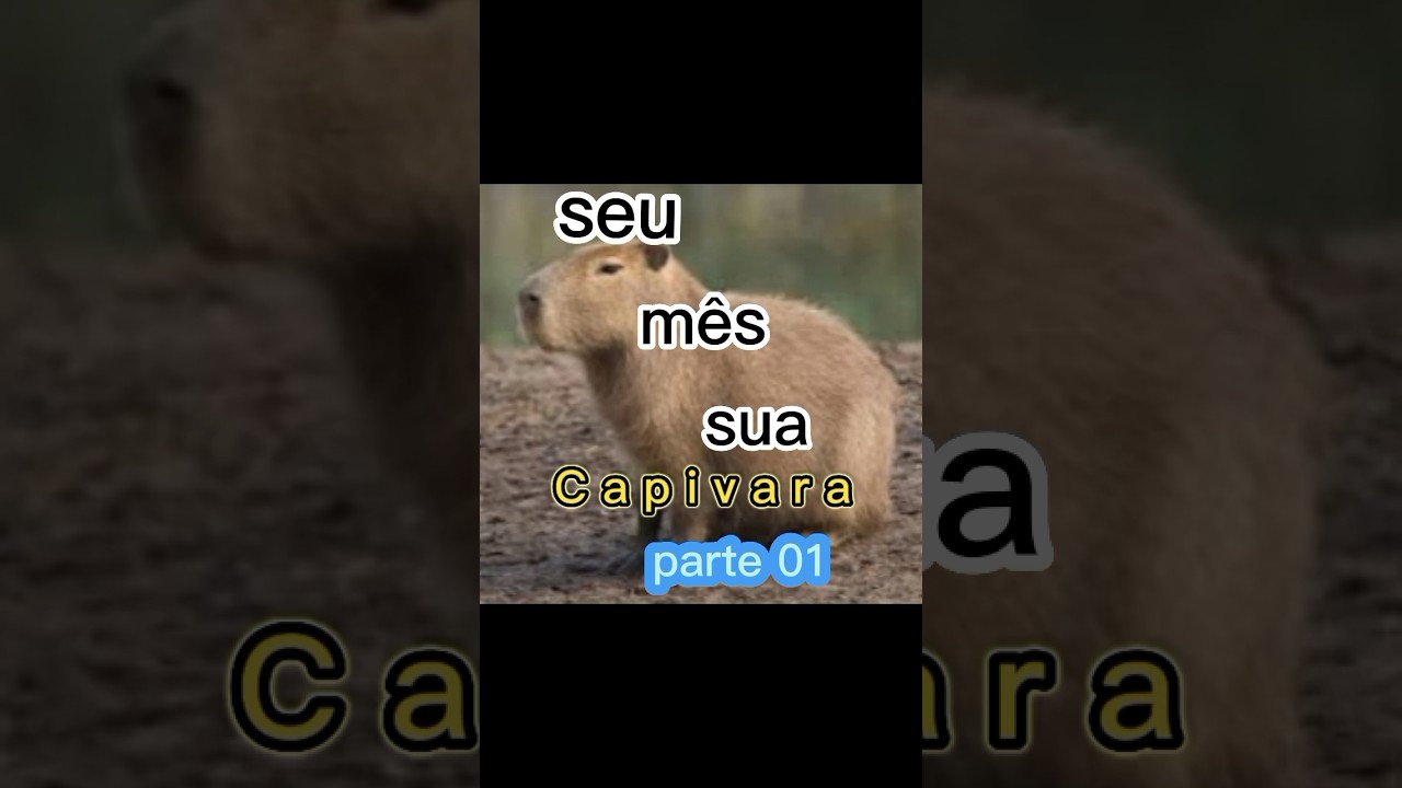 A CAPIVARA É O BICHO MAIS LEGAL - ANIMAÇÃO (@cartoonsbiel8538) 