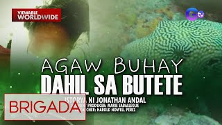 Mangingisda sa Bohol, agawbuhay matapos kumain ng butete or puffer fish! | Brigada