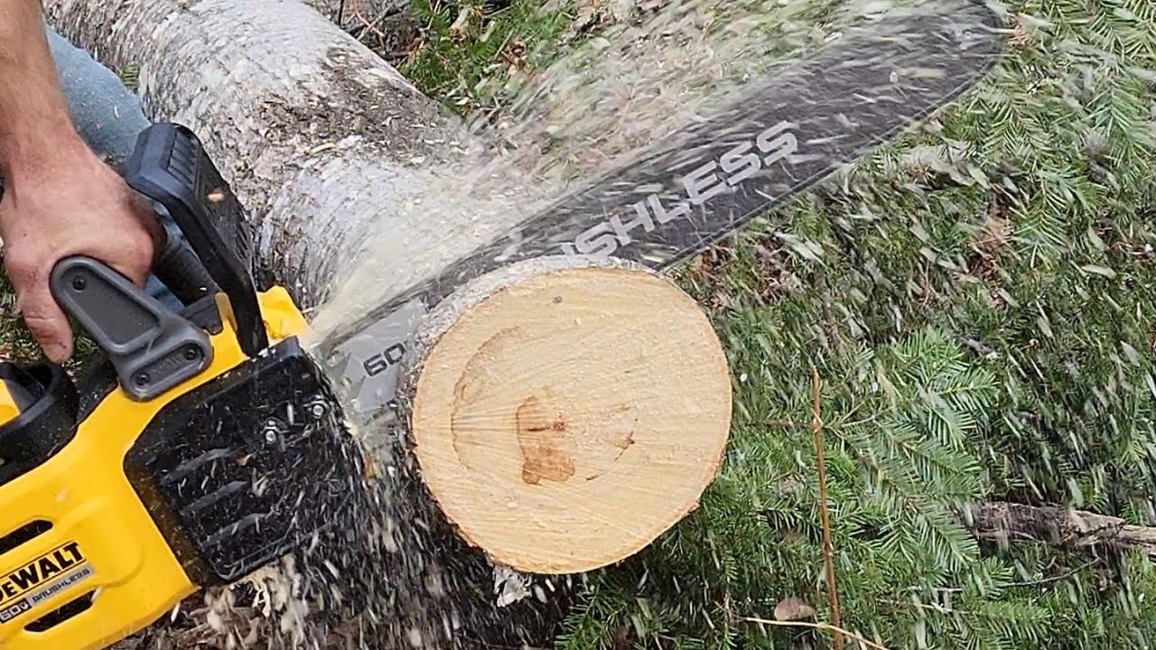 Dewalt 20" chainsaw vs Milwaukee 16" chainsaw 🪓 - YouTube